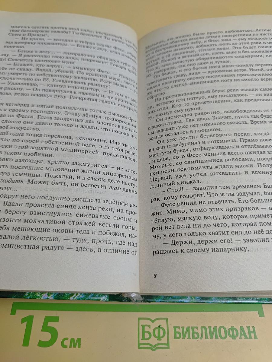 Одиночество мага. Том 2. Книга 3. Хранитель мечей