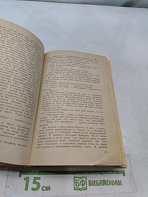 Несколько лет в деревне