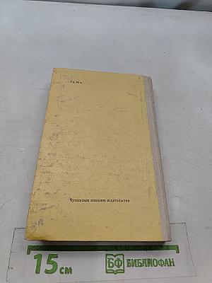 Несколько лет в деревне