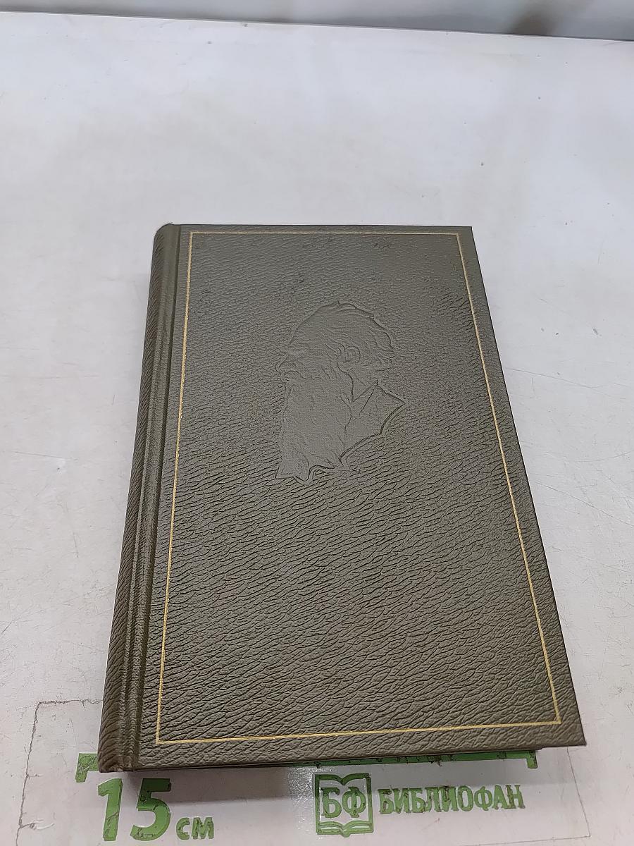Собрание сочинений. Том семнадцатый. Письма 1843-1886 гг.