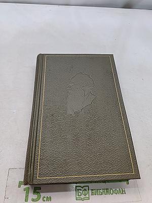 Собрание сочинений. Том семнадцатый. Письма 1843-1886 гг.