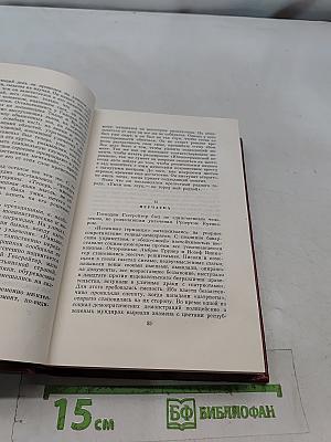 Собрание сочинений. Том четвертый. Успех. Семья Опперман