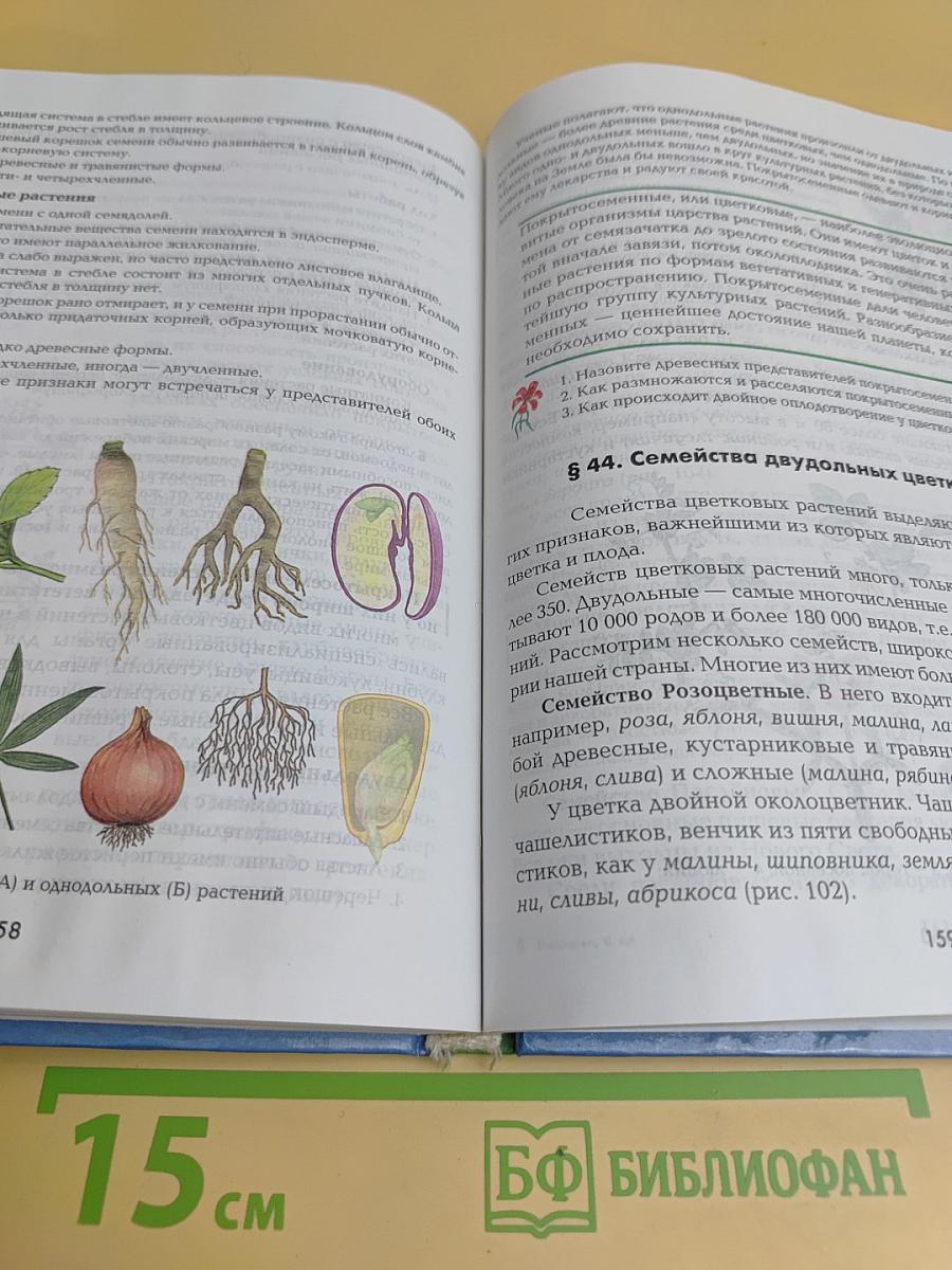 Биология. 6 класс. Растения. Бактерии. Грибы. Лишайники