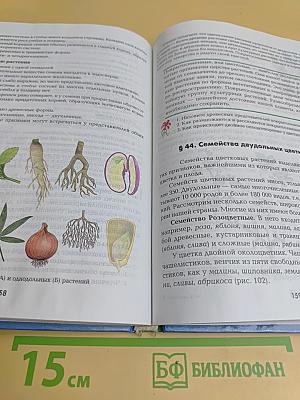 Биология. 6 класс. Растения. Бактерии. Грибы. Лишайники