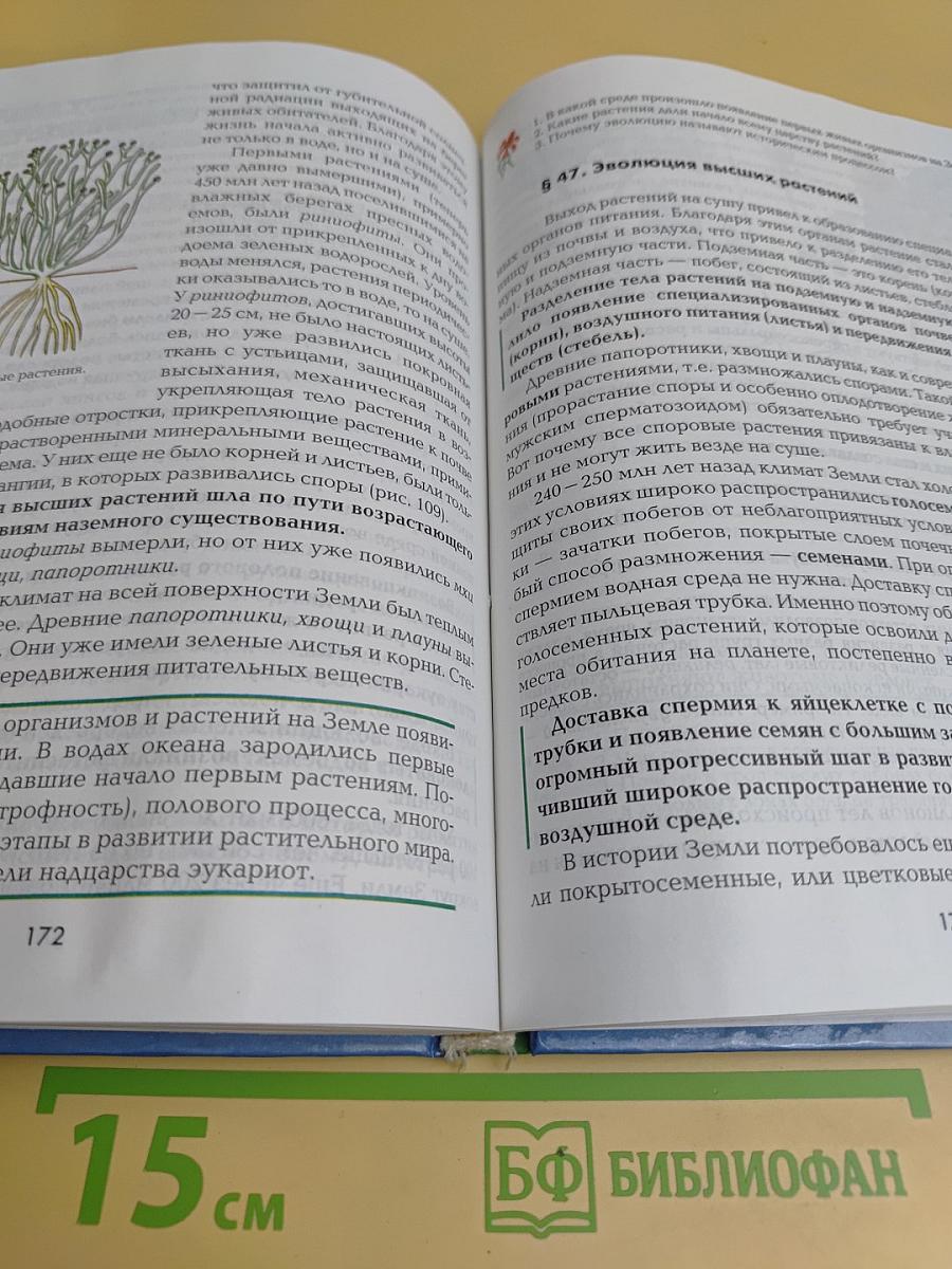Биология. 6 класс. Растения. Бактерии. Грибы. Лишайники