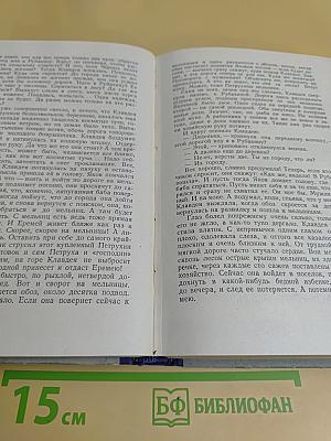 Хребты Саянские. Книга третья. Пробитое пулями знамя