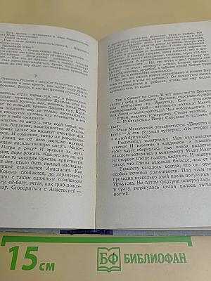 Хребты Саянские. Книга третья. Пробитое пулями знамя