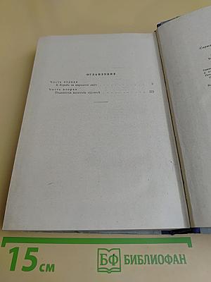 Хребты Саянские. Книга третья. Пробитое пулями знамя