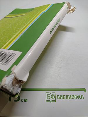 Математика 6 класс