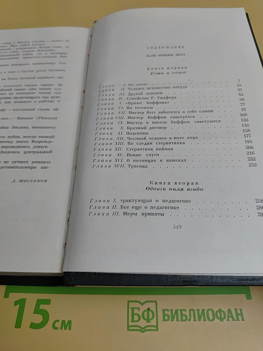 Собрание сочинений в двадцати четырех томах. Том 24. Наш общий друг