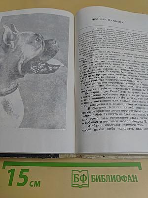 Декоративное собаководство. Необычное и обычное о собаках