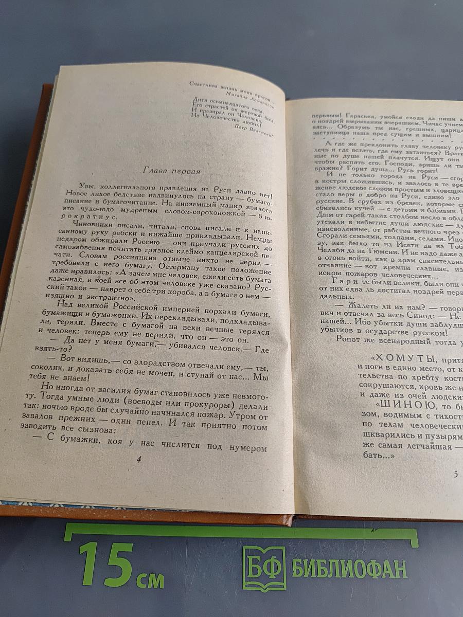 Слово и дело. Роман-хроника времен Анны Иоанновны. Книга 2. Мои любезные конфиденты