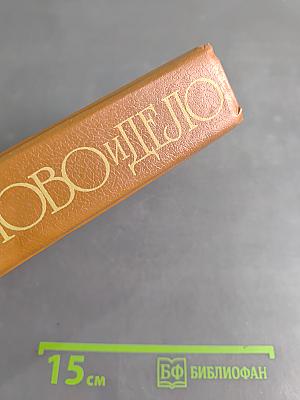 Слово и дело. Роман-хроника времен Анны Иоанновны. Книга 2. Мои любезные конфиденты
