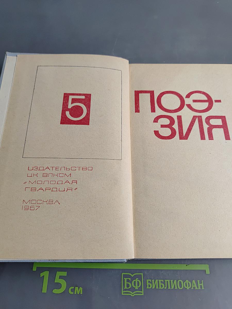 Библиотека современной молодежной прозы и поэзии. Том 5. Поэзия