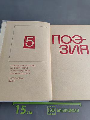 Библиотека современной молодежной прозы и поэзии. Том 5. Поэзия