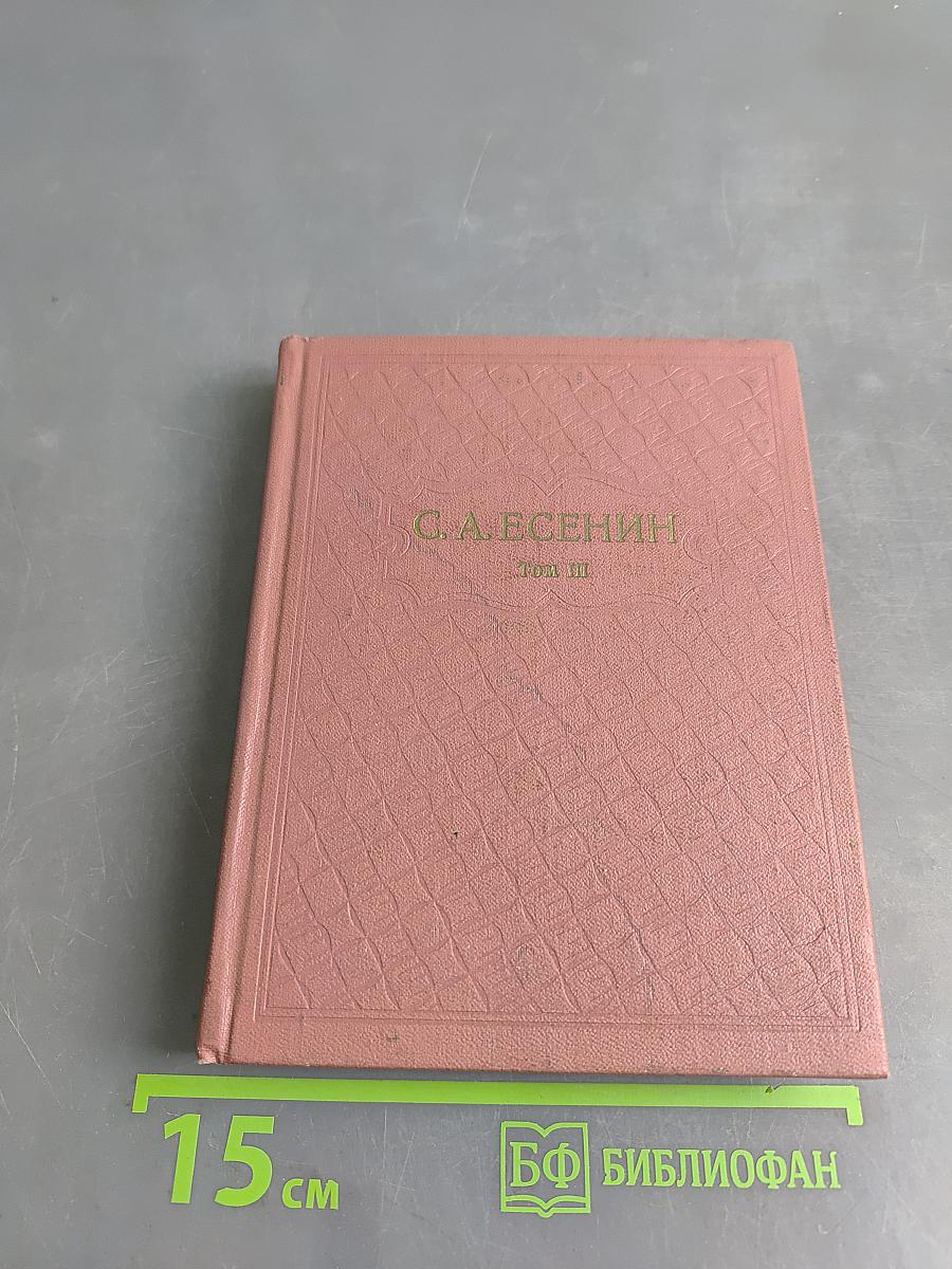 Собрание сочинений. Том III. Поэмы