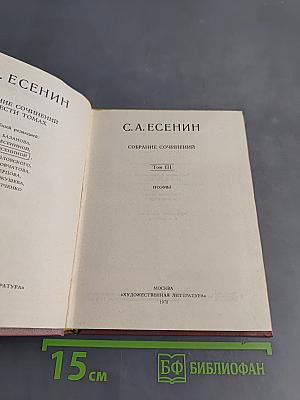 Собрание сочинений. Том III. Поэмы