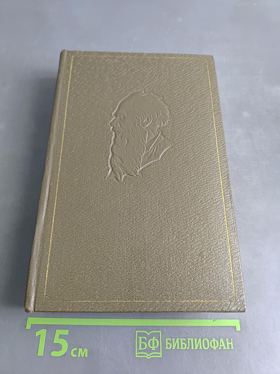 Собрание сочинений. Том третий. Повести и рассказы 1857-1863 гг.