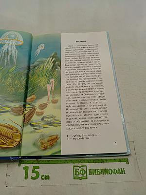 В морях и океанах