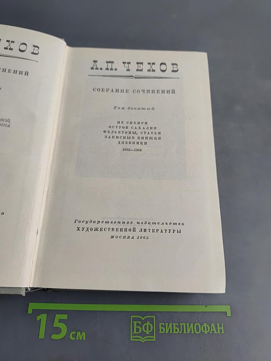 Собрание сочинений. Том десятый. Из Сибири. Остров Сахалин. Записные книжки. Дневники 1882-1901