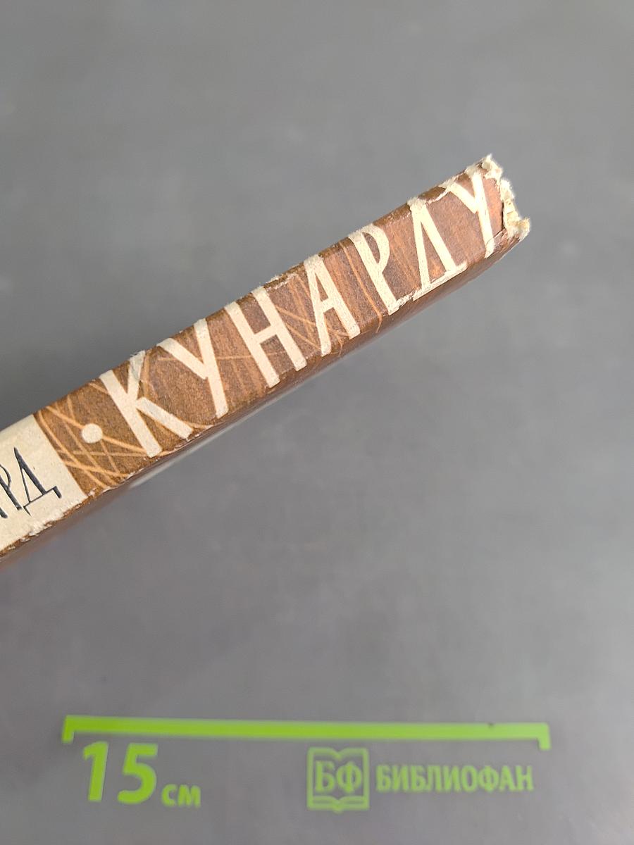 Кунарду, или Колодец в тени
