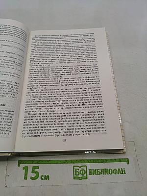 Пособие для занятий по русскому языку в старших классах
