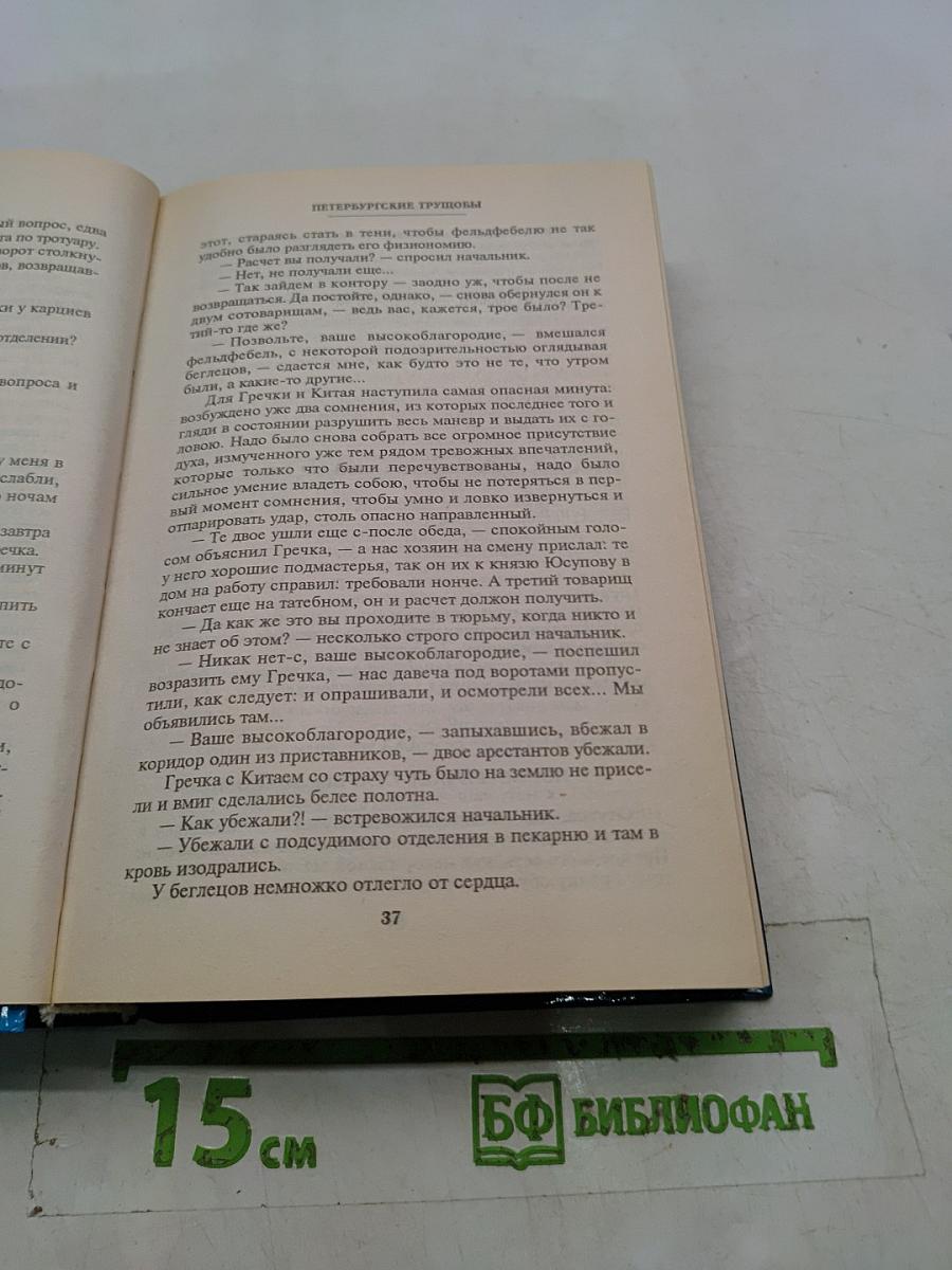 Петербургские трущобы. Том второй