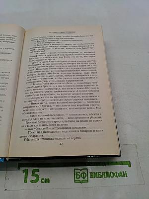 Петербургские трущобы. Том второй