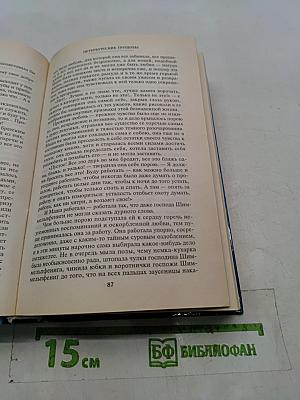 Петербургские трущобы. Том второй