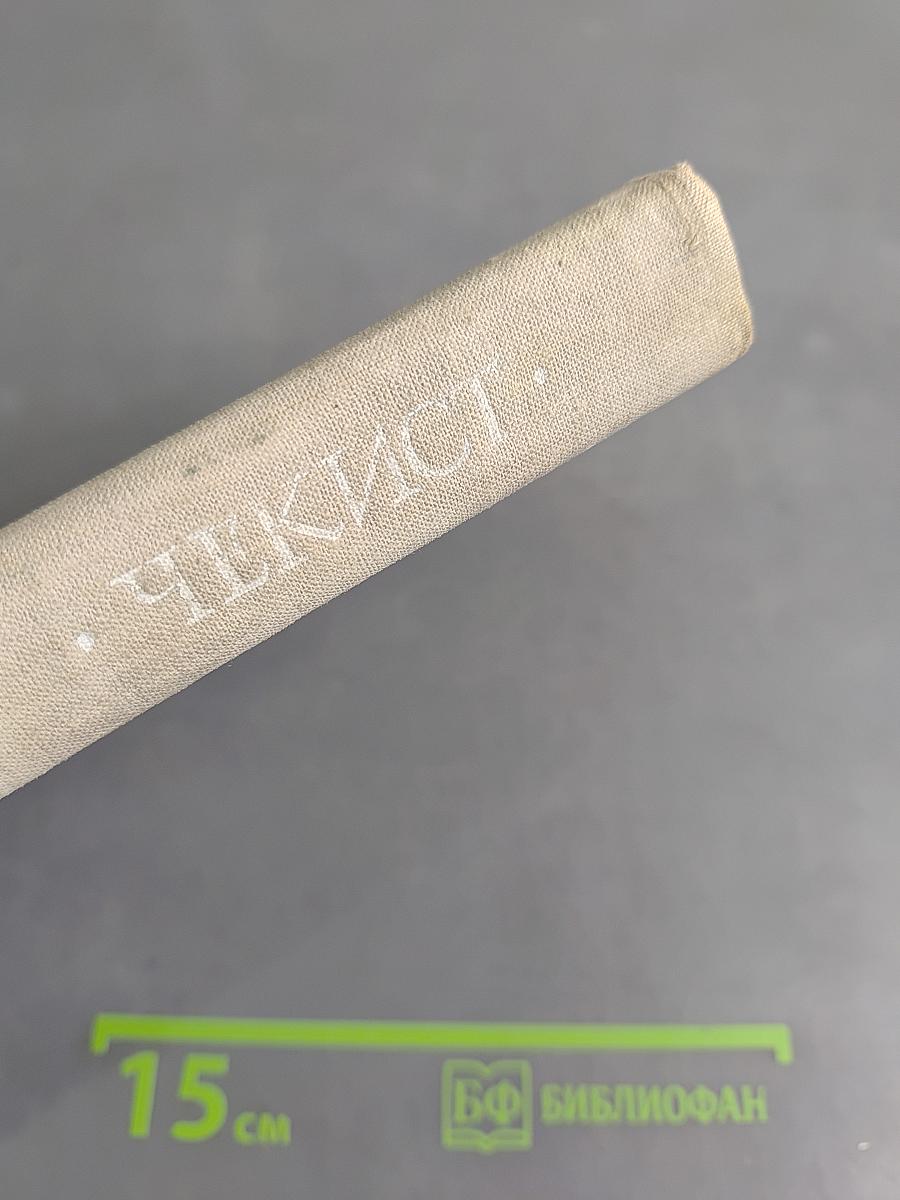 Чекист