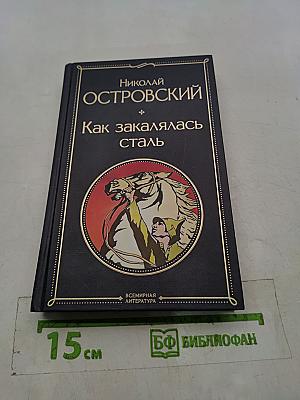 Как закалялась сталь