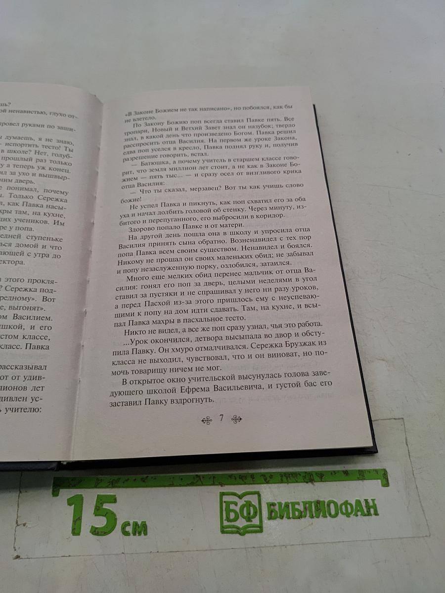Как закалялась сталь