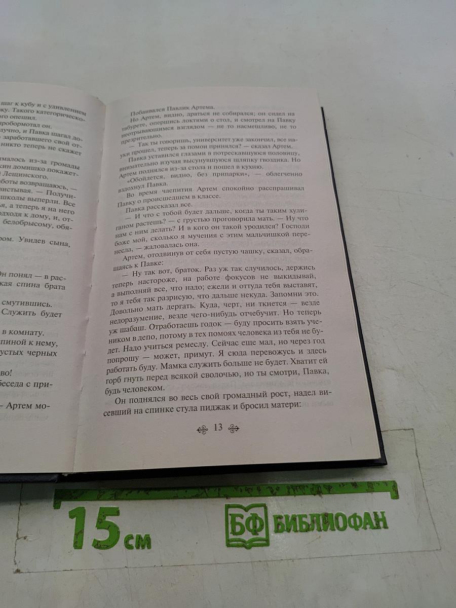 Как закалялась сталь