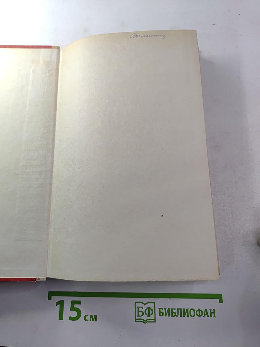 Где наша не пропадала