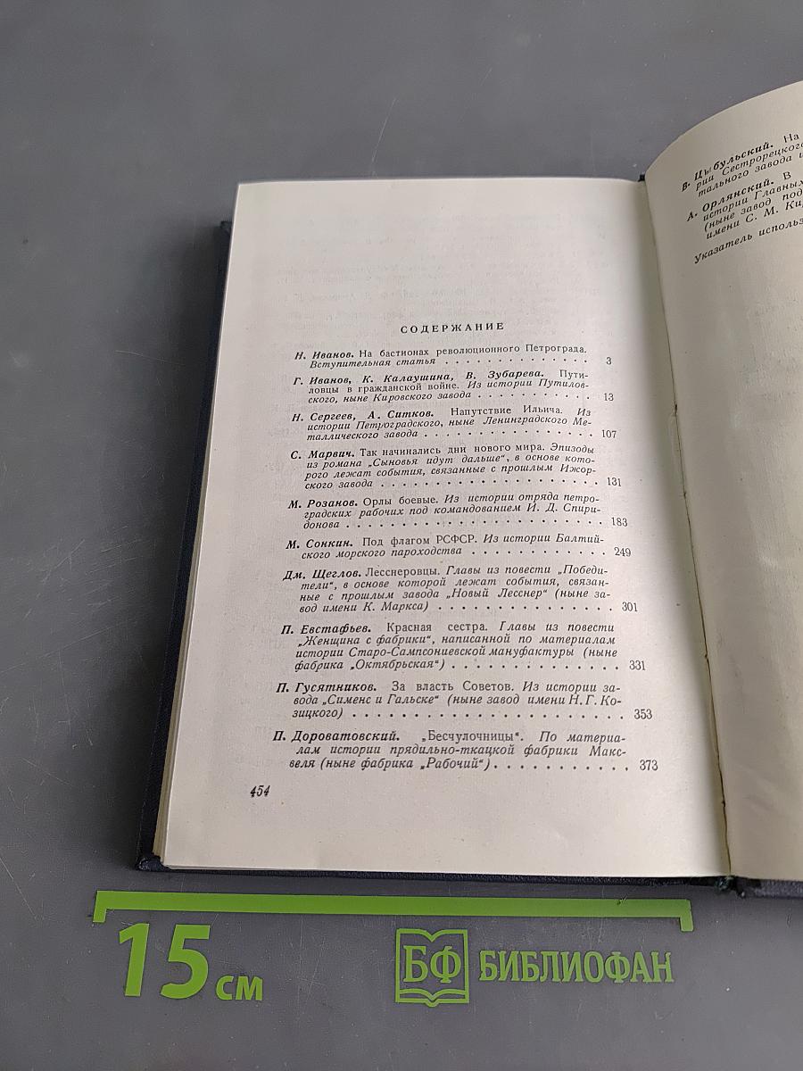 Бастионы революции. Страницы истории ленинградских заводов. Выпуск II. Борьба за упрочение Советской власти и годы Гражданской войны