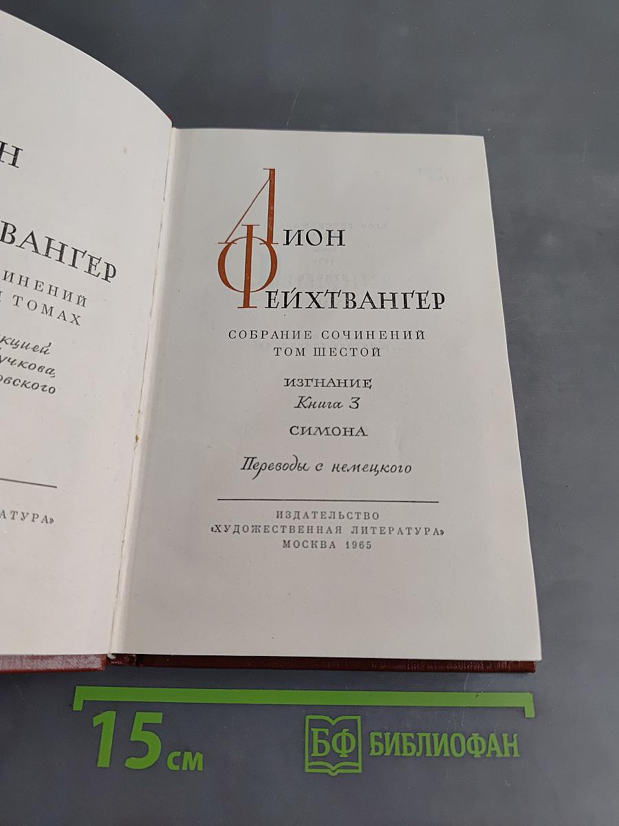 Изгнание. Книга 3. Симона