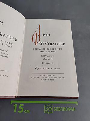 Изгнание. Книга 3. Симона