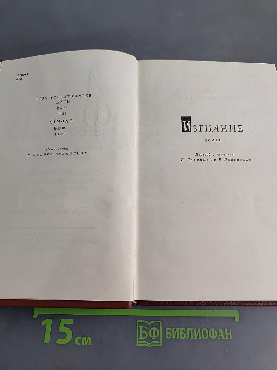 Изгнание. Книга 3. Симона