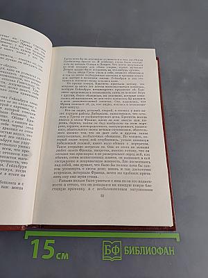 Изгнание. Книга 3. Симона