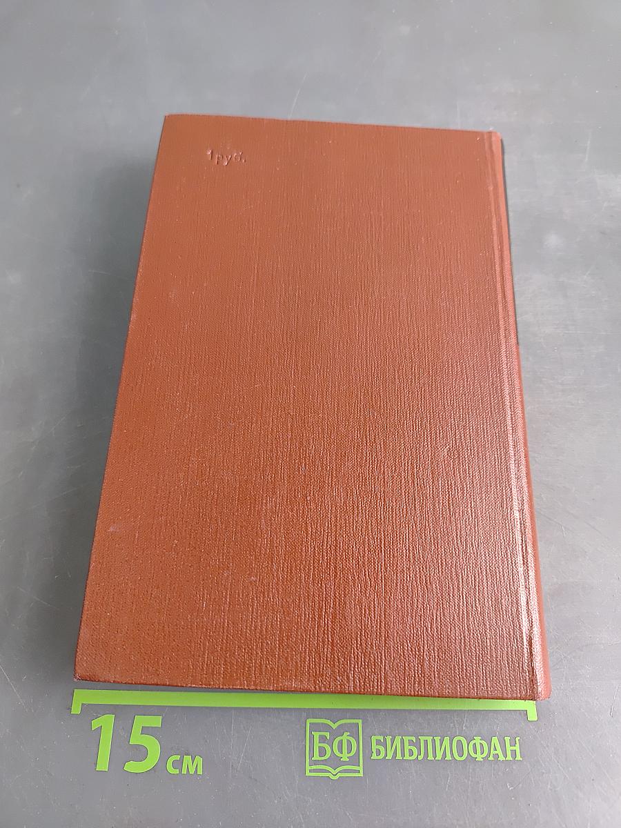 Изгнание. Книга 3. Симона