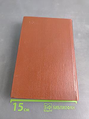 Изгнание. Книга 3. Симона