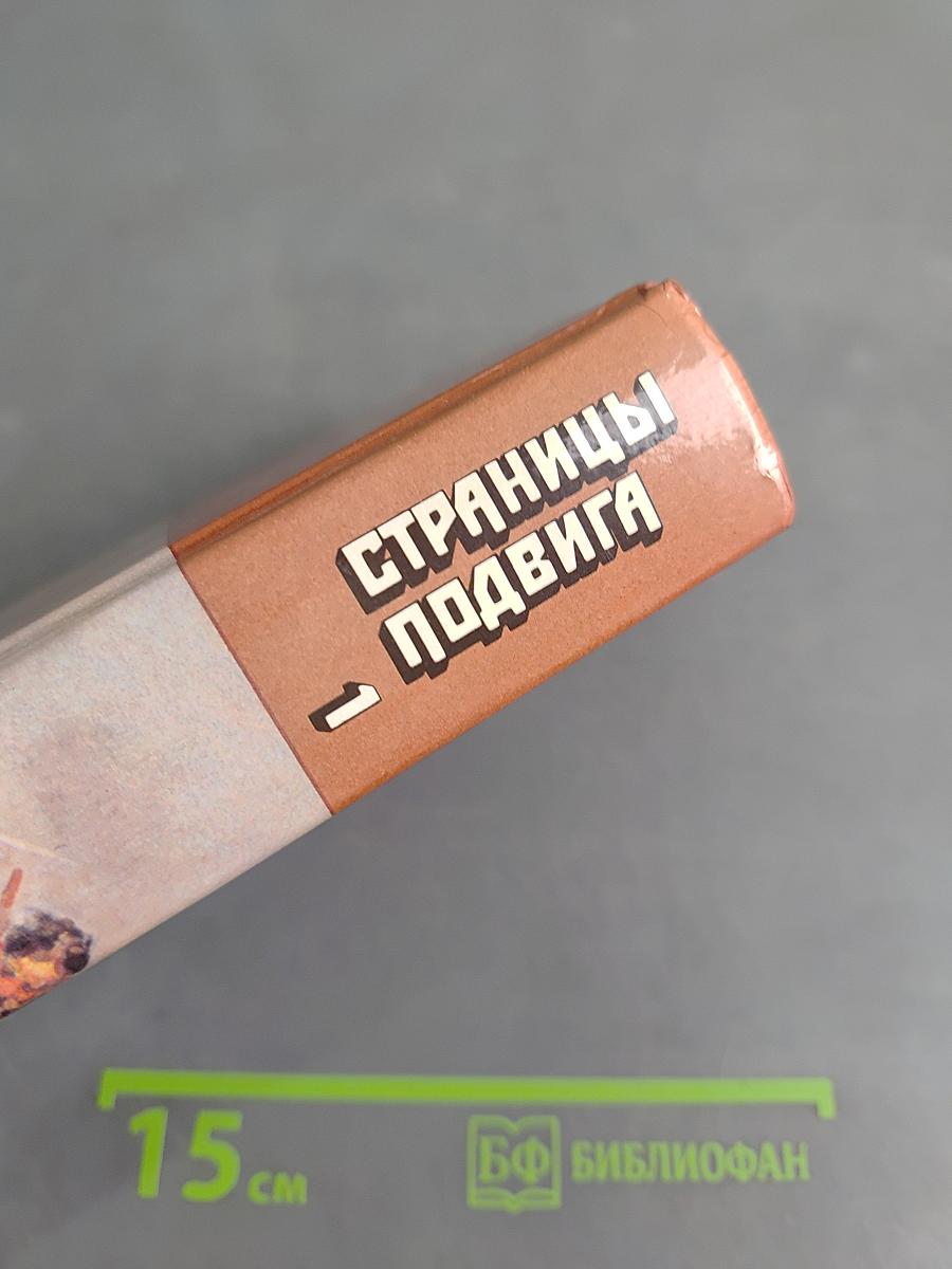 Страницы подвига. Том первый. За власть Советов