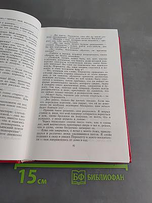 Виконт де Бражелон. Книга четвертая