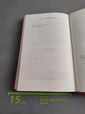 Виконт де Бражелон. Книга четвертая