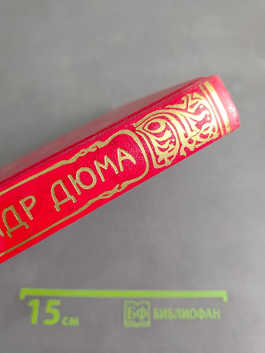 Виконт де Бражелон. Книга четвертая