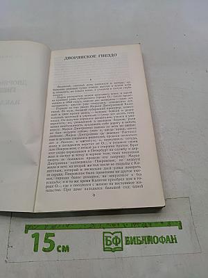 Дворянское гнездо. Накануне