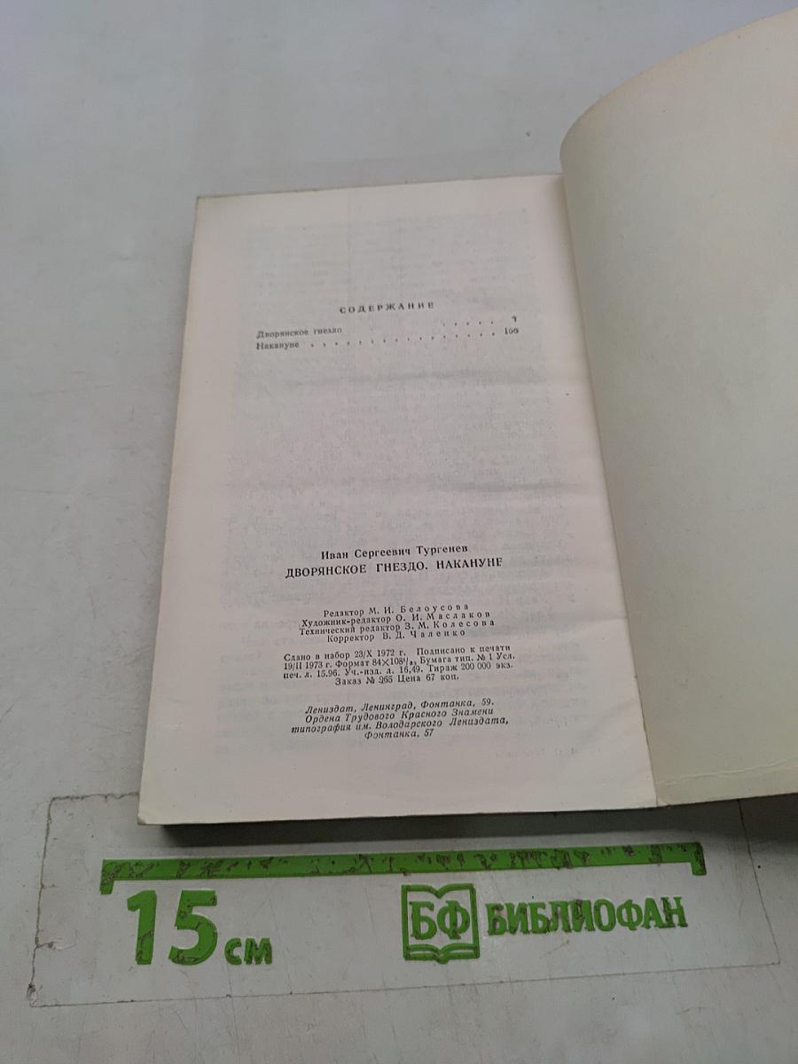 Дворянское гнездо. Накануне