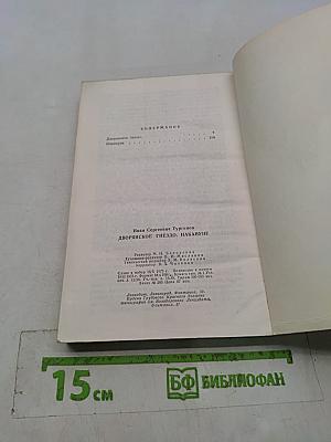Дворянское гнездо. Накануне