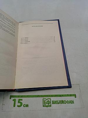 Перед прыжком