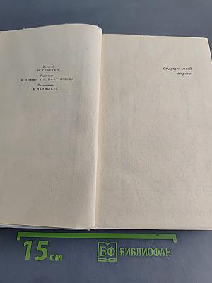 Ложная правда. Роман. Книга вторая